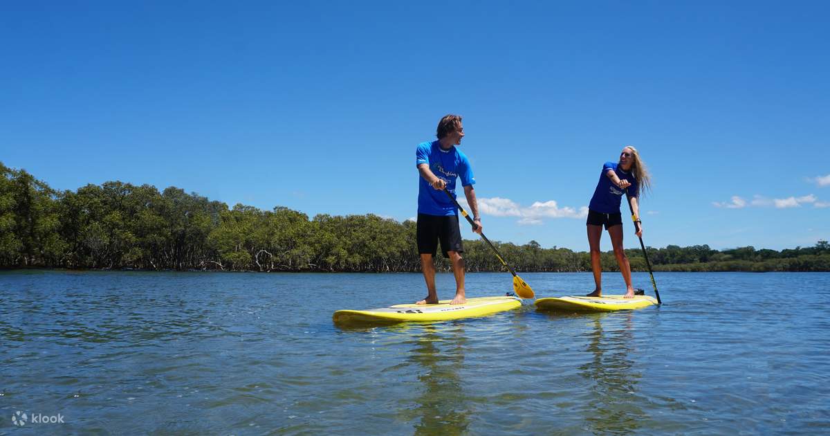 Stand Up Paddle Board Lesson in Byron Bay Klook India